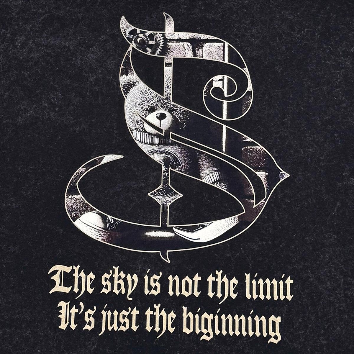 Stray dream big wide & crop fit tee