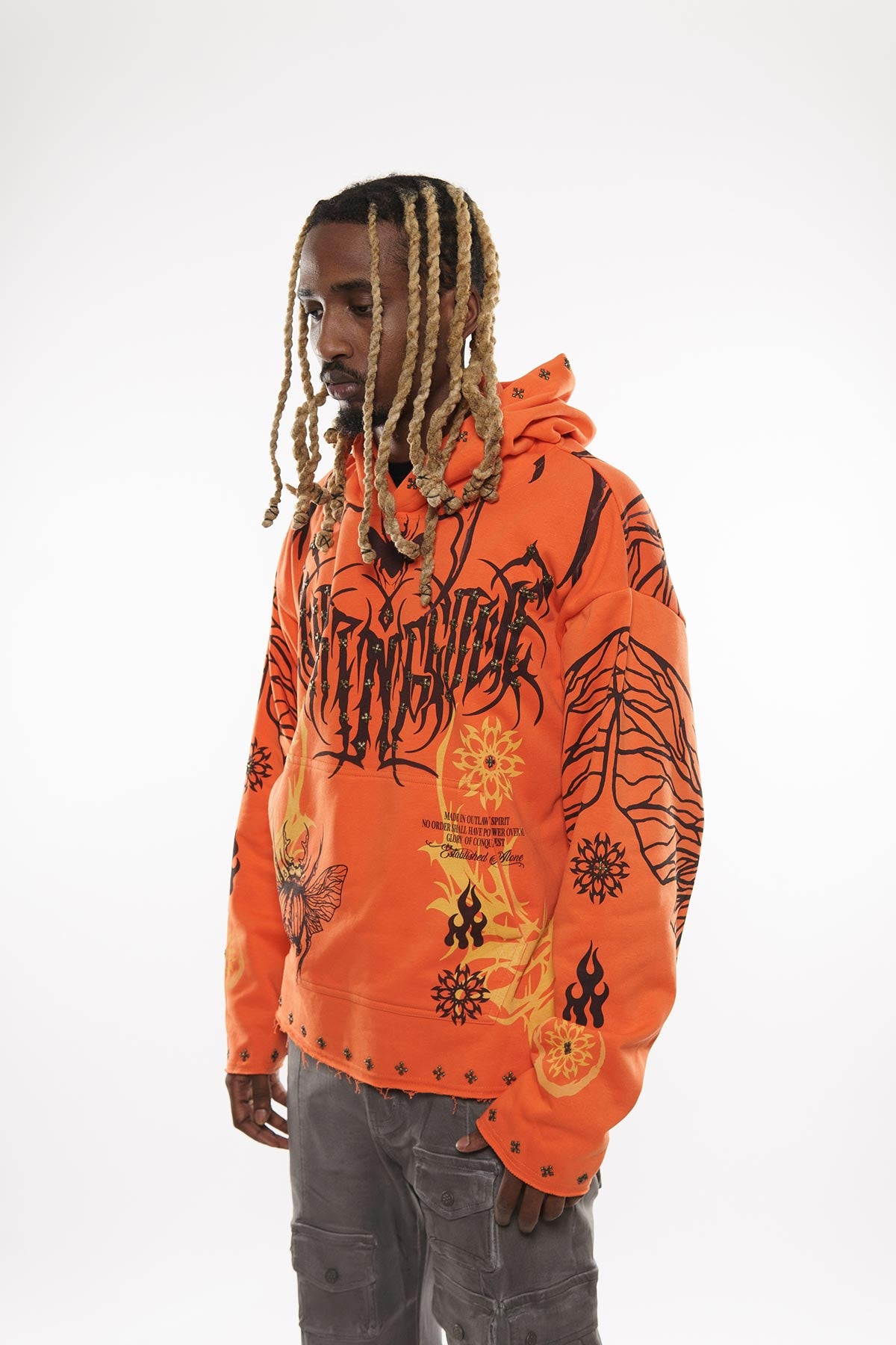 Atlas beetle pullover hoodie