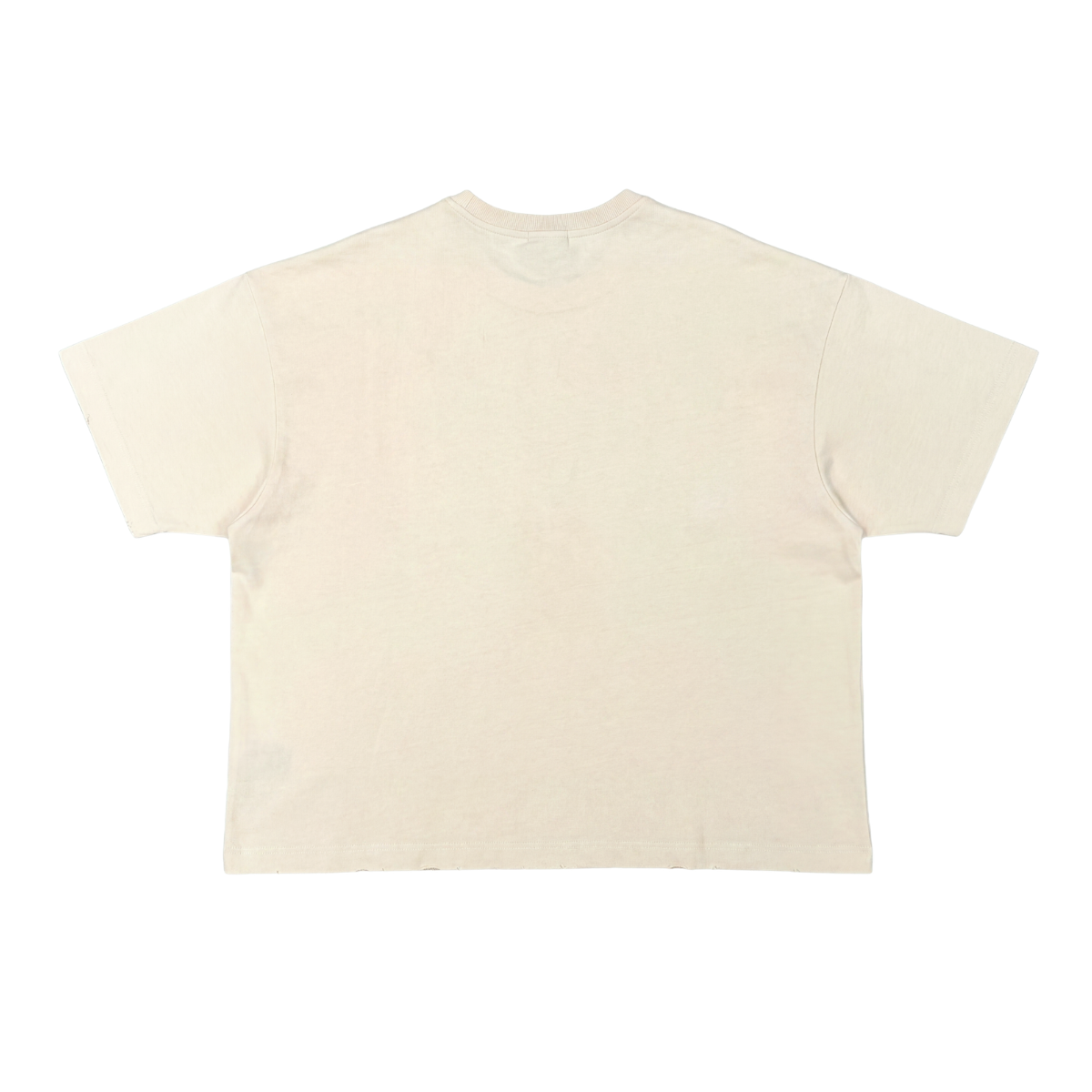 No Pain No Gain Vintage Jesus Graphic Tee